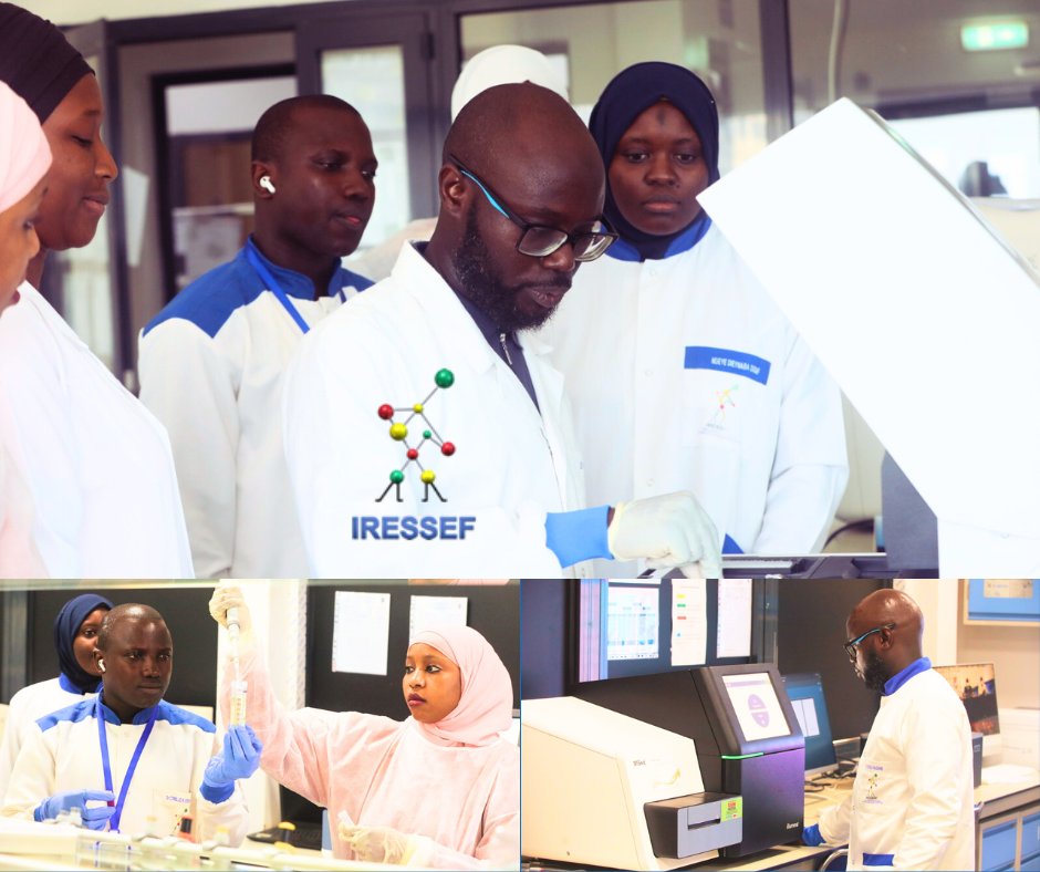 iressef's tweet image. 1/10 :🔬 [#CLIMADE Initiative] CLIMADE, un consortium de scientifiques de renommée mondiale, vise à combattre les maladies exacerbées par le climat. Son impact est déjà ressenti en Afrique, particulièrement dans la lutte contre la Dengue. Voici comment. ⬇️ #SantéClimatique