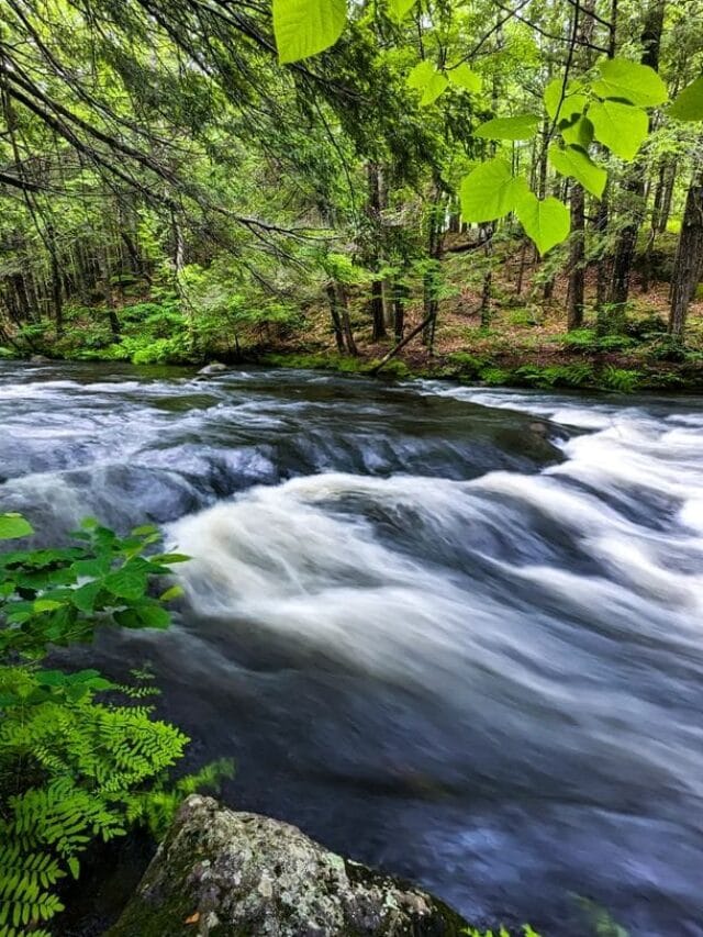 VisitMaine.net tweet media