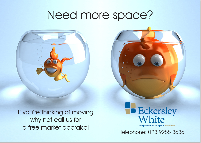 Eckersley White (@eckersleywhite) on Twitter photo 