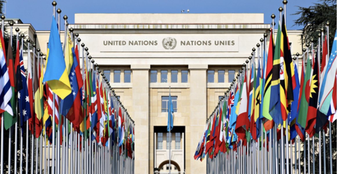 ENoMW's tweet photo. 📢 150 ORGANISATIONS ASK UN HUMAN RIGHTS COUNCIL TO HOLD WORKING GROUP EXPERTS ACCOUNTABLE

On 11/10/23, we sent a letter, signed by 150 NGOs and platforms, to UN Human Rights Council states, UN High Commissioner Volker Turk, OHCHR Special Procedures Branch, and a number of special rapporteurs and treaty bodies.   In this letter we demand urgent action re non-legal publication by the members of UN Working group on discrimination against women and girls, in which they call to decriminalise sexual exploitation  of women, and to allow our abusers - pimps, traffickers and end users of women and girls in prostitution - to act with impunity . 

Last week in Geneva, High Commissioner @volker_turk informed us that OHCHR is “aware of the letter and is looking into it”. Tomorrow, along with survivors of prostitution in our network we will be meeting OHCHR representatives to hear what actions they have taken to ensure OHCHR special procedures respect their mandate and remain within international law. 

Migrant women are the first victims of prostitution and trafficking for its purposes, and it is the duty of UN bodies to respect int law, and to prevent and stop our exploitation - not to minimise, sanitise and encourage our abuse. 

READ and SIGN the letter: https://t.co/hI3KZAdoof

@UN_HRC