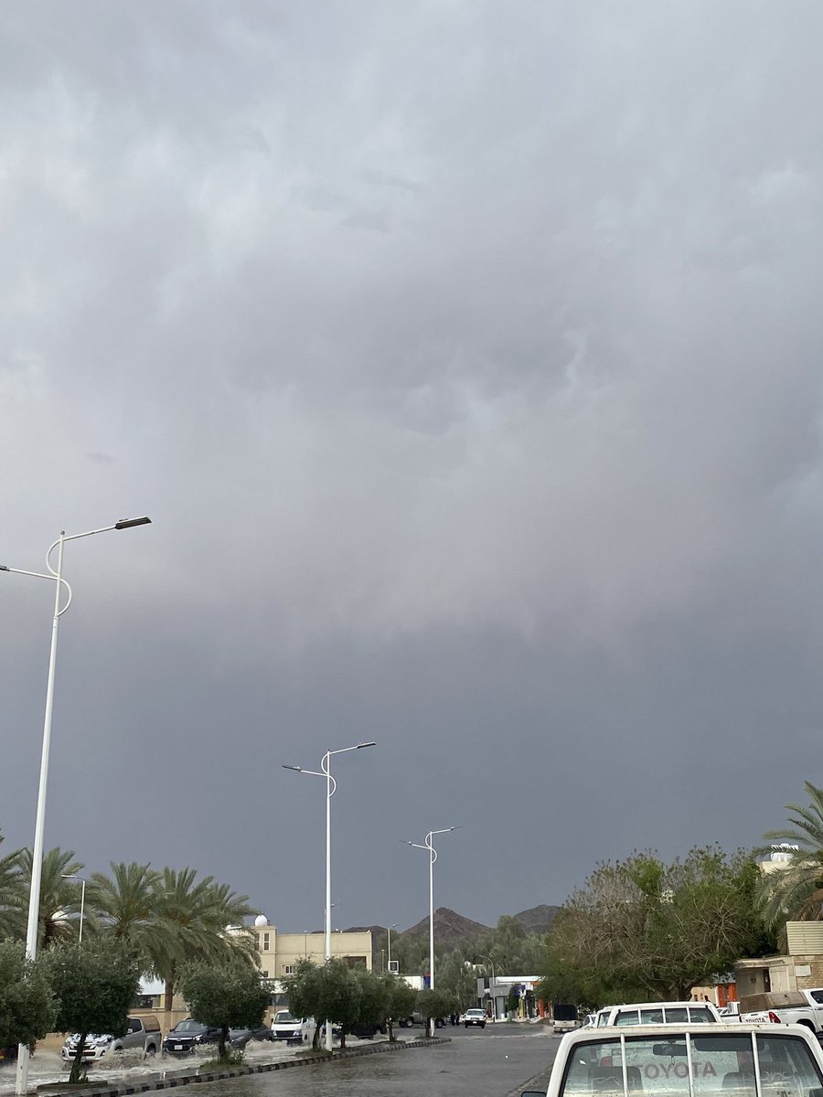 المُثنّى الغازي tweet media