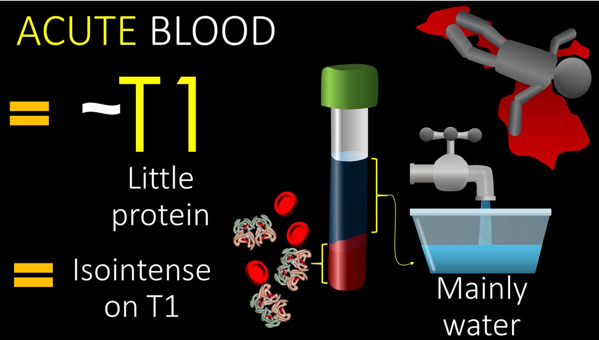 1/Asking “How old are you?” can be dicey—both in real life & on MRI! Do