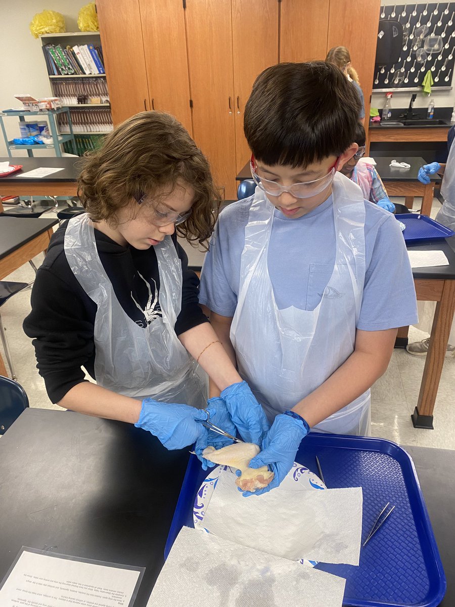 Kicking off this Monday morning with a chicken wing dissection in Life Science. Learning in action! <a href="/vhcschools/">Vestavia Hills City Schools</a>