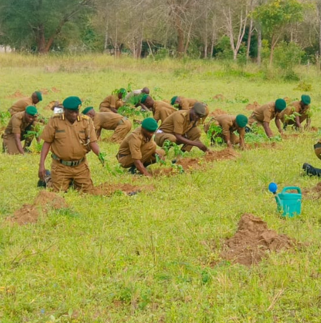 NYS  Kenya tweet media