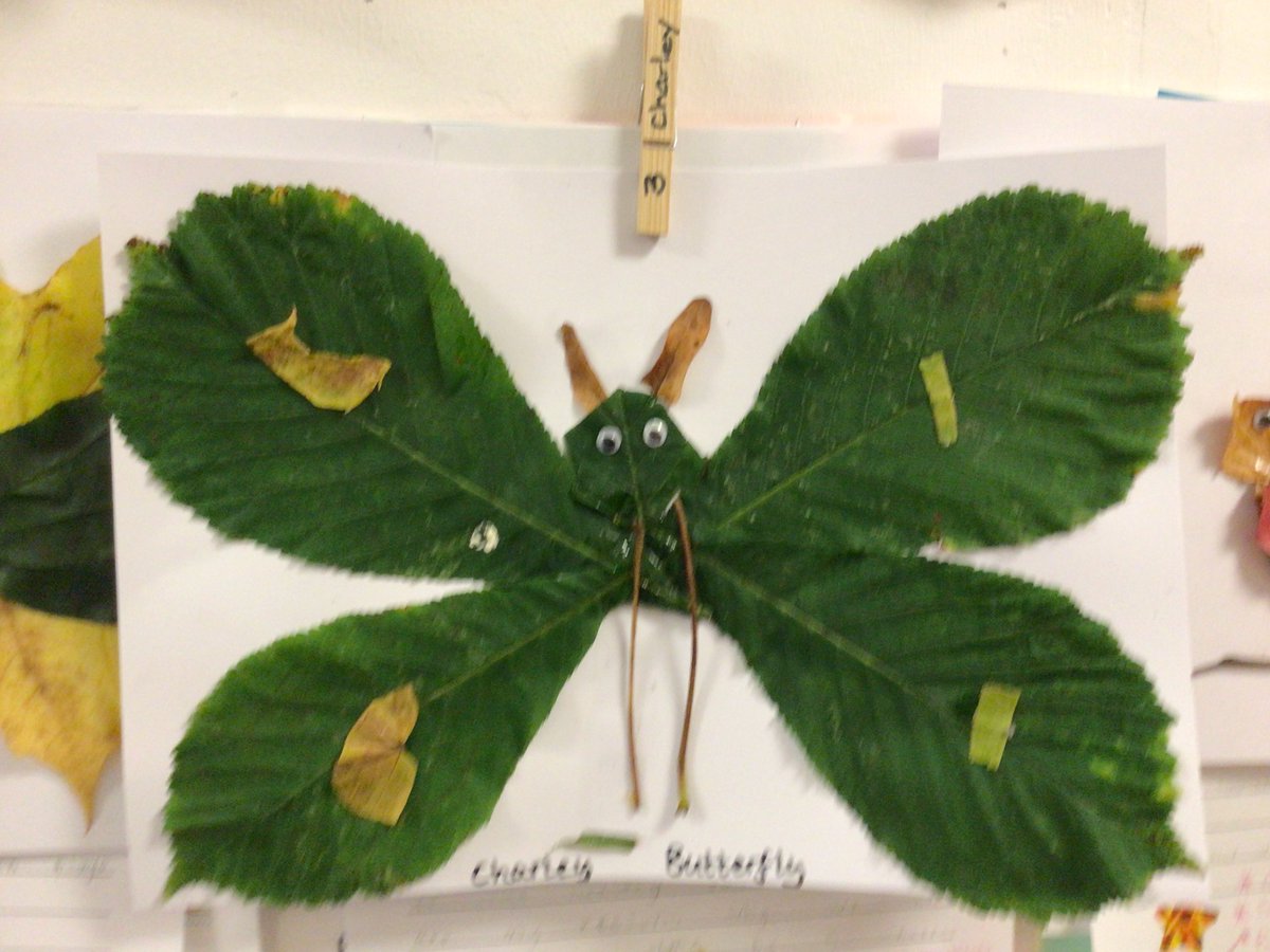 PrimaryNewlands's tweet photo. P2/3/4/5 have used autumn leaves to create a collage.

Thank you very much for all the support towards the Shoebox Appeal. We managed to make  25 shoeboxes ☺️ Amazing work everyone! https://t.co/LbfBTa9j2S