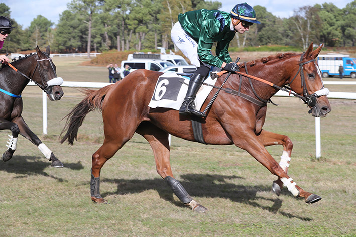 🏆Pour sa 3ème sortie en steeple, JALISCA D'ALENE (No Risk At All @HarasMontaigu ), 4 ans, s'impose sur la piste de Saumur pour la casaque de Mr Othats.