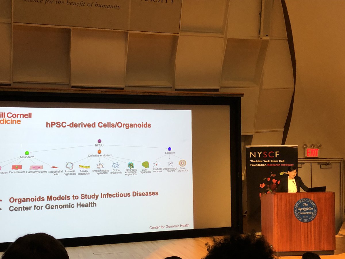 Great start to the #NYSCF2023 meeting with @ChenShuibing’s talk. Looking forward to all the exciting talks.