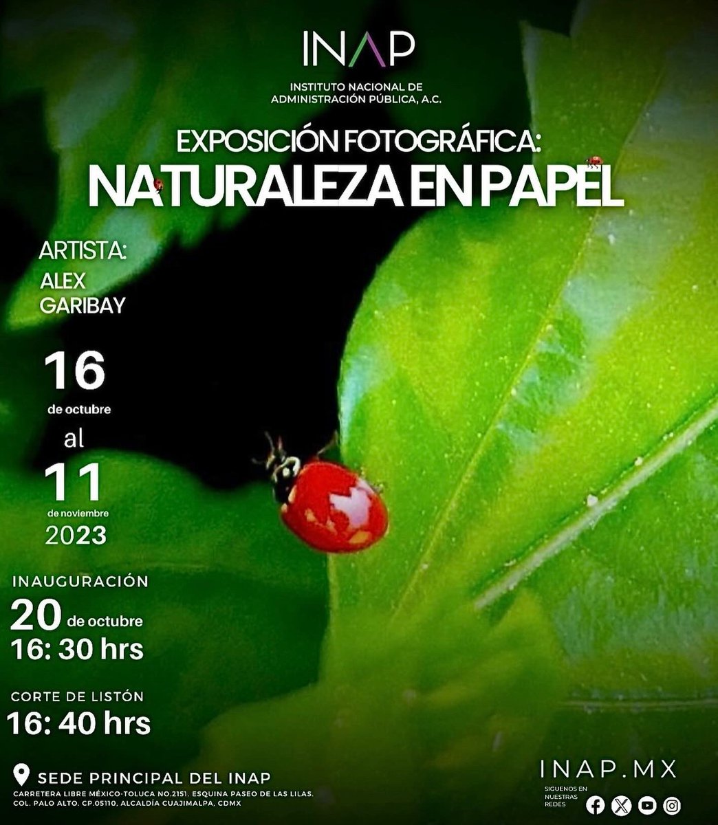 Alex_Gary10's tweet photo. “NATURALEZA EN PAPEL“ Inauguración Exposición Fotográfica @inap_mx Con la presencia del Dr. Luis Miguel Martínez Anzures @Drlmma56 Presidente del @inap_mx y el Vicepresidente del 
Instituto Nacional de Administración Pública de Shanghai - Xie Gengua.

📅 Del 16.10.23 al 11.11.23 https://t.co/YaUWog8soY