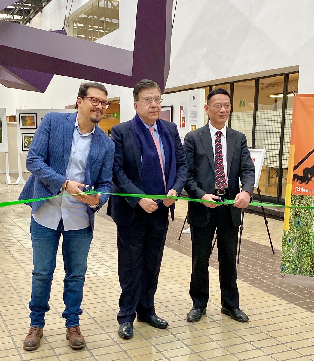 Alex_Gary10's tweet photo. “NATURALEZA EN PAPEL“ Inauguración Exposición Fotográfica @inap_mx Con la presencia del Dr. Luis Miguel Martínez Anzures @Drlmma56 Presidente del @inap_mx y el Vicepresidente del 
Instituto Nacional de Administración Pública de Shanghai - Xie Gengua.

📅 Del 16.10.23 al 11.11.23 https://t.co/YaUWog8soY