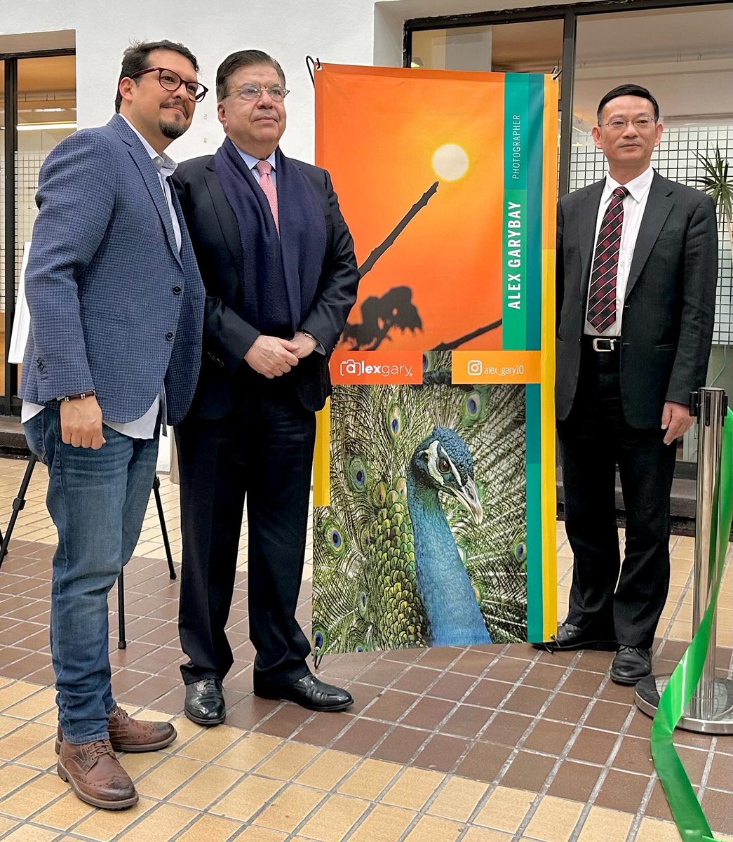 Alex_Gary10's tweet photo. “NATURALEZA EN PAPEL“ Inauguración Exposición Fotográfica @inap_mx Con la presencia del Dr. Luis Miguel Martínez Anzures @Drlmma56 Presidente del @inap_mx y el Vicepresidente del 
Instituto Nacional de Administración Pública de Shanghai - Xie Gengua.

📅 Del 16.10.23 al 11.11.23 https://t.co/YaUWog8soY