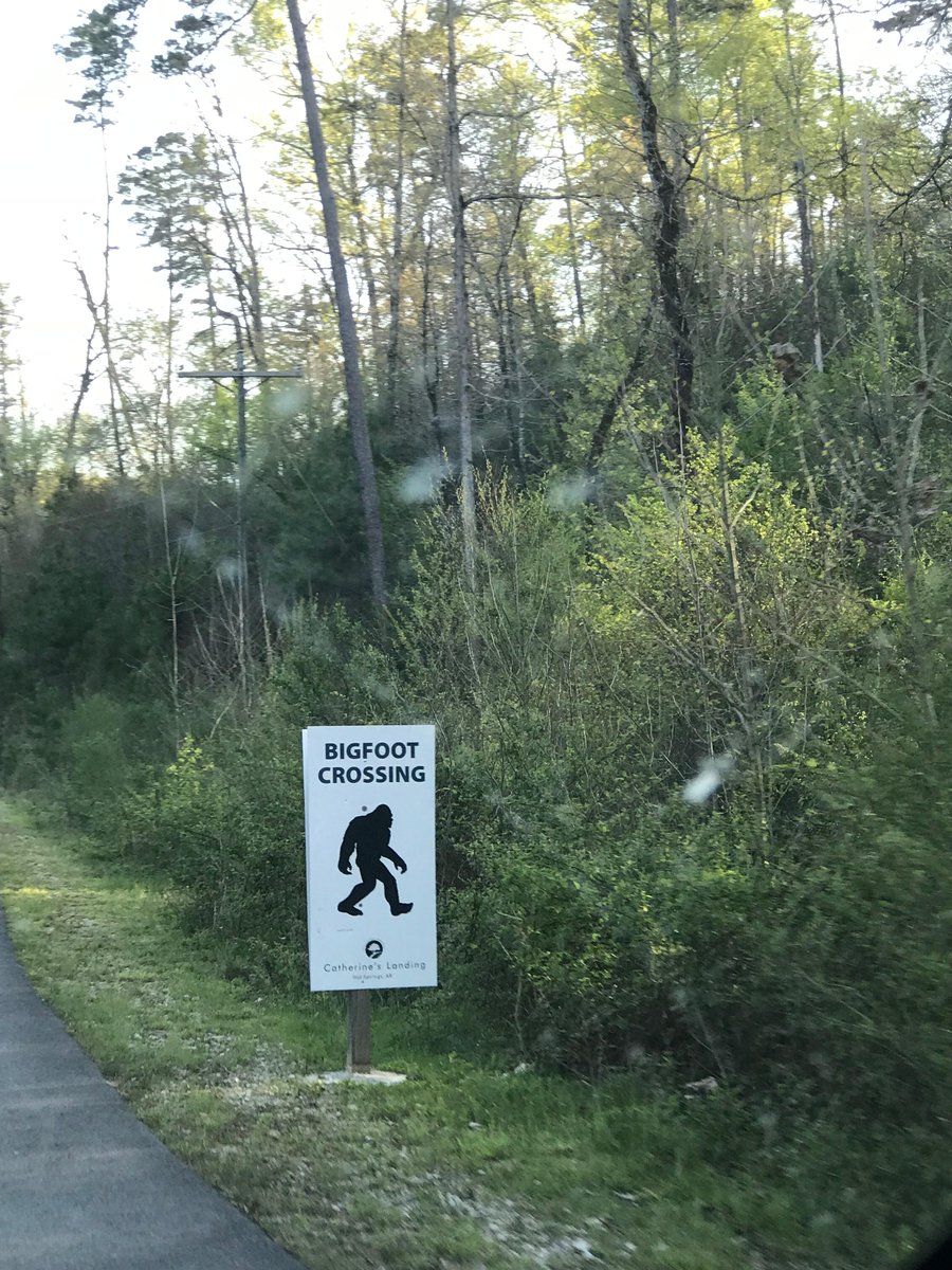 UnbookedLife's tweet photo. Is the legend of the Flatwoods Monster real? For years, tales of eerie encounters with the creature have been reported, but its origin remains shrouded in mystery. Have you ever seen the Flatwoods Monster? #FlatwoodsMonster #Legends #MysteriousCreatures
https://t.co/uo5hOSeewP https://t.co/VzklmJ610L
