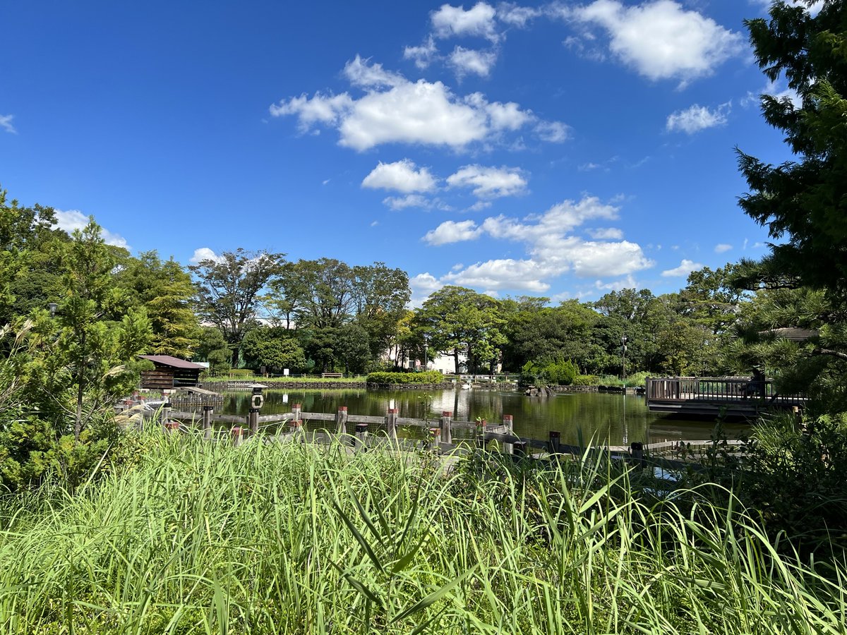 「様々な空と景色。  ・(左上)荒川自然公園 ・(右上)岩淵水門 ・(左下)忘れた」|かず💻🎮🖼のイラスト