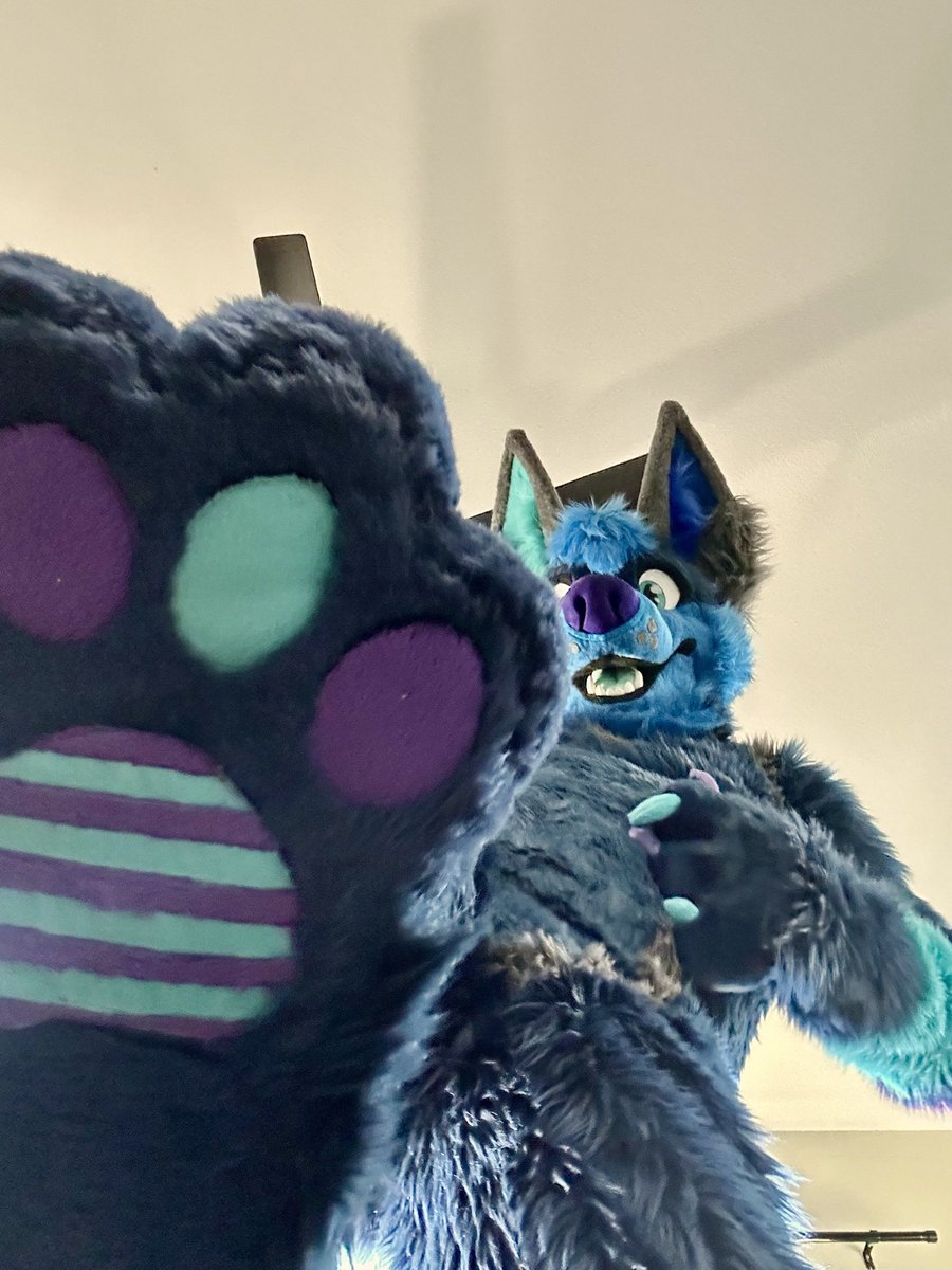 Furry_the_Jake's tweet photo. The moments shortly before falling over backwards 
#furries #furry #fursuit https://t.co/kC5XOup3d1