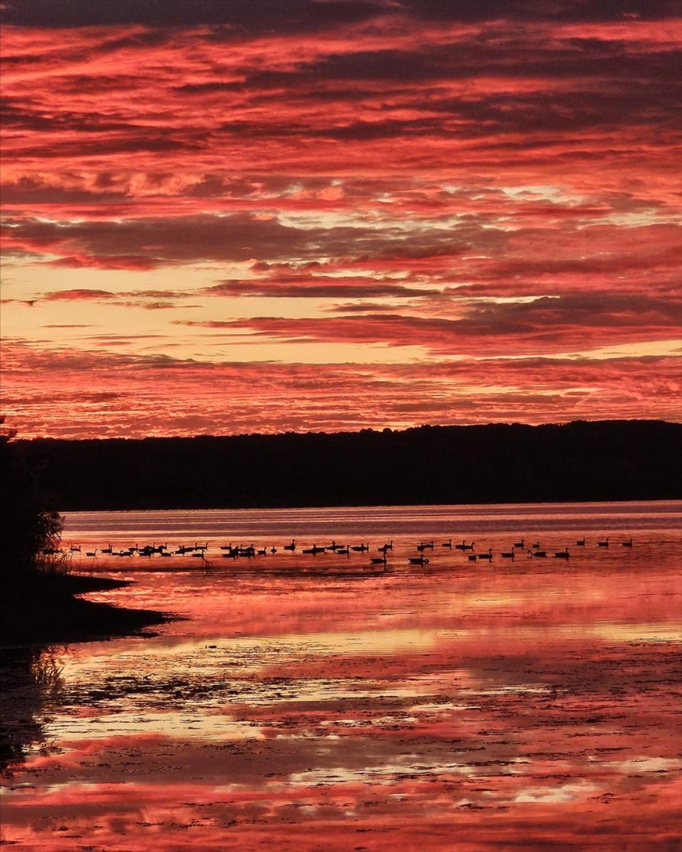 OHStateParks's tweet photo. WOW ๐ We see you, fall sunrises! This incredible photo was captured at sunrise at Pymatuning State Park. Fall is the best โค๏ธ ๐งก ๐ Photo: Angela Palmer
#ohiostateparks #pymatuningstatepark #sunrise #nature #fall https://t.co/SeGEIc9lqh