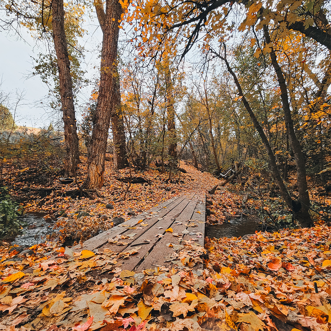 SamsungMobileSA's tweet photo. Taking us with you on your adventures is the highlight of our Mondays✨💙 

📸 Shot by @fahim_al_mahmud with the #GalaxyS23Ultra 

Tag us using #withGalaxy in your scenic shots, and we could feature you too! https://t.co/9fxBqWUD4q