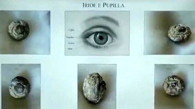 DBking85's tweet photo. Suggestione..l’occhio di una statua ritrovato nei fondali di Riace. Il reperto ora è al vaglio della soprintendenza. Potrebbe essere il bulbo oculare dei Bronzi di Riace, in particolare del bronzo B?
A realizzare il rinvenimento è stato un sub a 60 metri dal punto in cui furono scoperte le statue. 

#DBArte #BaroArte #arte #art #cultura #meravigliaitalia