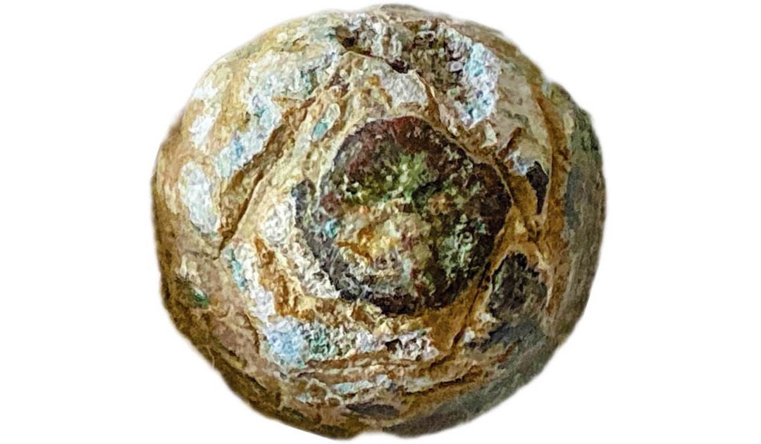 DBking85's tweet photo. Suggestione..l’occhio di una statua ritrovato nei fondali di Riace. Il reperto ora è al vaglio della soprintendenza. Potrebbe essere il bulbo oculare dei Bronzi di Riace, in particolare del bronzo B?
A realizzare il rinvenimento è stato un sub a 60 metri dal punto in cui furono scoperte le statue. 

#DBArte #BaroArte #arte #art #cultura #meravigliaitalia