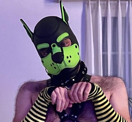Am I a good boy? 🐶 #puppyplay https://t.co/AFSJG5QeiD<a href="/tag/puppyplay"class="tags">#puppyplay</a>