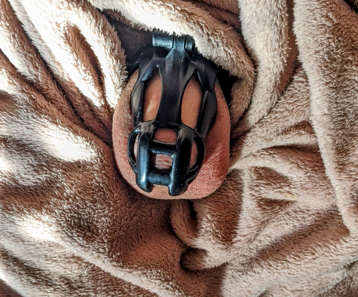 Day 55:  My nub is cozy today. Cant wait to be apart of the itty-bitty clitty club. Shrink faster! 🥵

#chastity #twink #fag #bbbh #gaychastity <a href="/GayChastityRTs/">Gay Chastity Retweets -75K</a> <a href="/KINK3Ddesigns/">KINK3D</a>