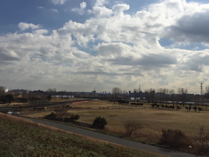 様々な空と景色。  ・(左上)荒川自然公園 ・(右上)岩淵水門 ・(左下)忘れた… ・(右下)東京スカイツリー  #空がある風景