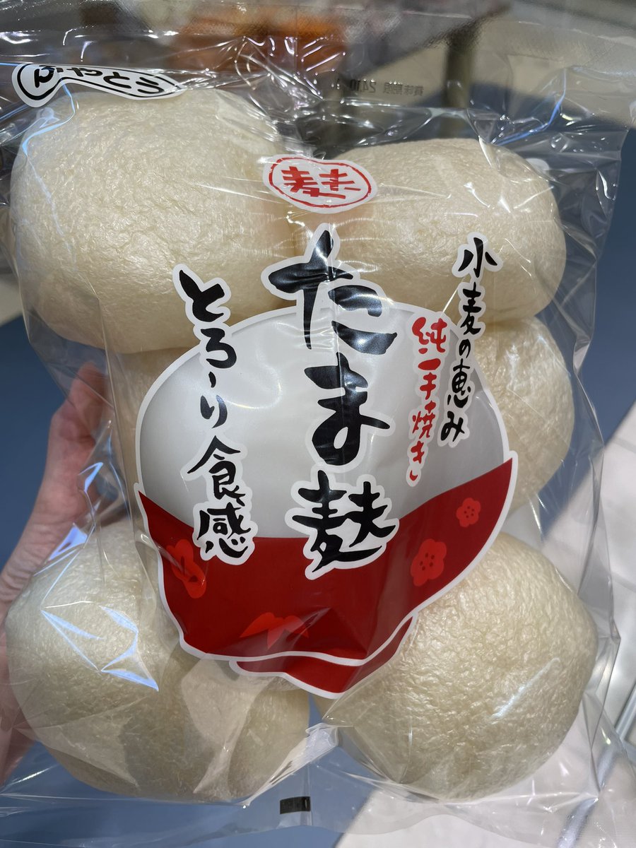 でかい麩を手に入れたので食うやで