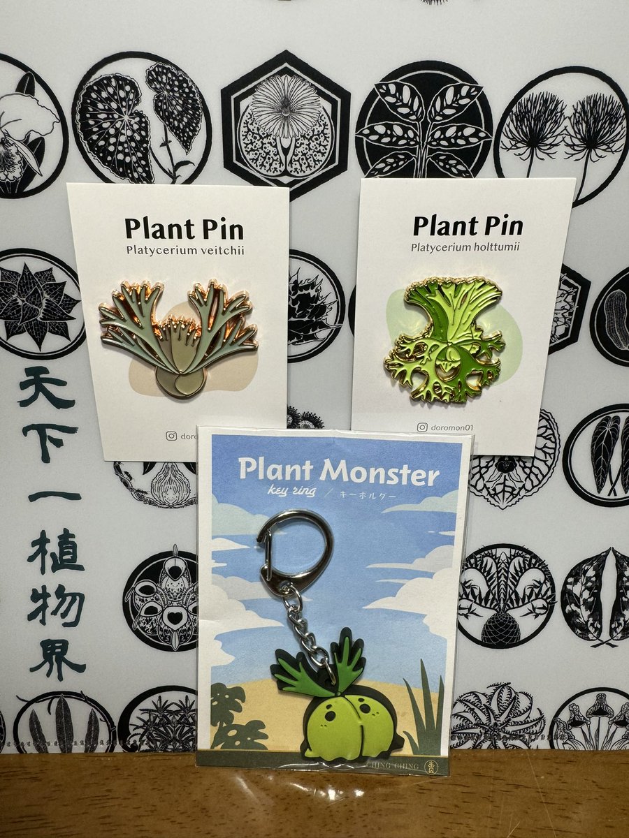 uchinaru_t's tweet photo. #天下一植物界2023 の購入品
マグネット&amp;キーホルダー
青青小樹様(@doromon011 )で購入
ビカクビカクビカク！
全てビカク！悩んだ末のビカク！
理性が仕事しすぎて3個に収まりましたが、帰ってきてから「アレも買っておけばよかったな」と少し後悔しております🤣 https://t.co/tPZuX96CTS