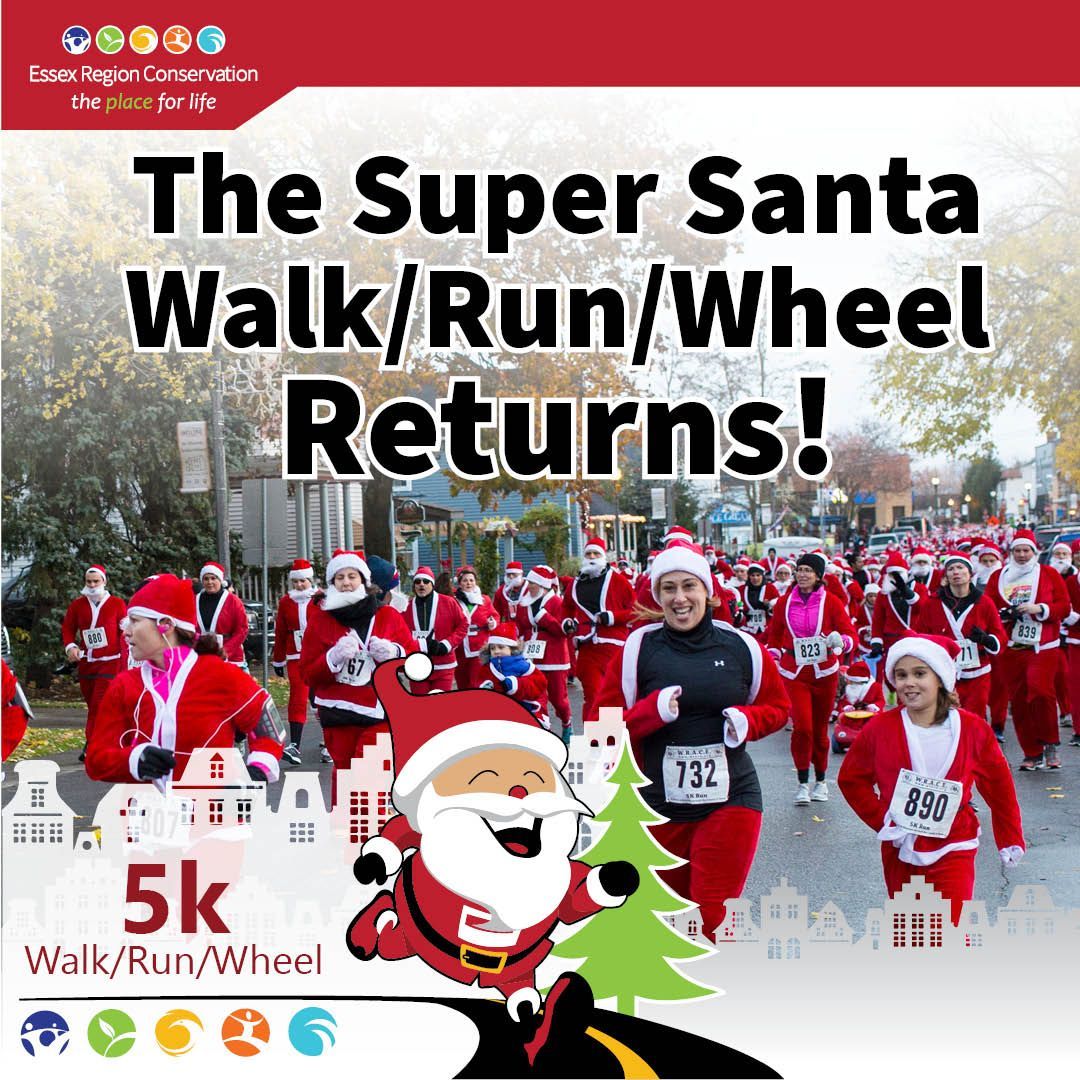essexregionca's tweet photo. The Super Santa Run returns to Amherstburg on Saturday, November 18th at 5:00pm! Join more than 500 Santas in sharing jolly good cheer, raise funds to support conservation in the #PlaceforLife, & kick off the Amherstburg River Lights Festival. Register at https://t.co/bSXTYaQEyu https://t.co/OkAzZUqpJj