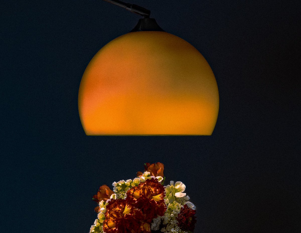 LA FLEUR tweet media