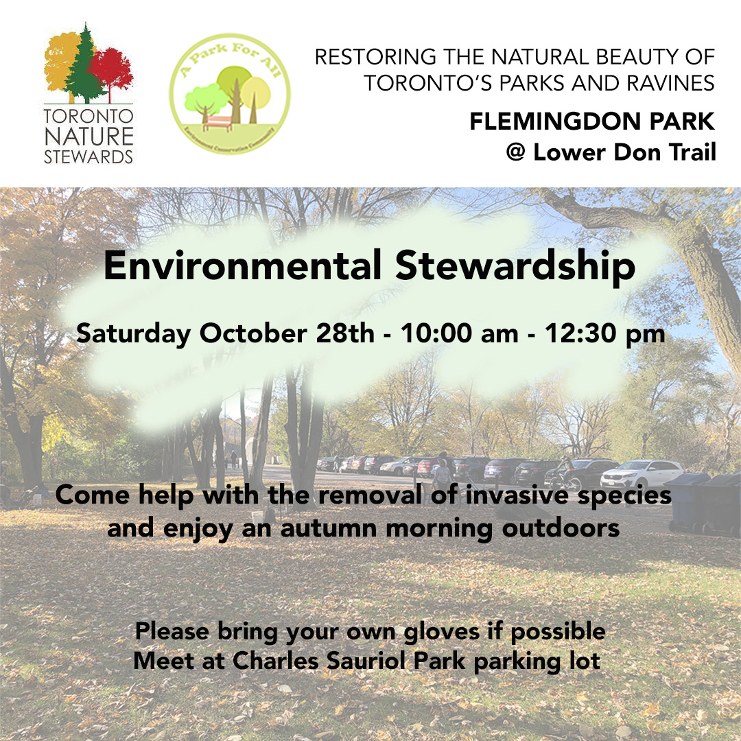 Join our Flemingdon site for a buckthorn and DSV pull!

WHEN: Sat, Oct 28th @ 10 am
WHERE: Flemingdon Park, Charles Sauriol Parking Lot

#torontoravines #environmentalstewardship #stewardship #TOravines #urbanlandscape #torontoparks #volunteertoronto #invasivespecies #restoration