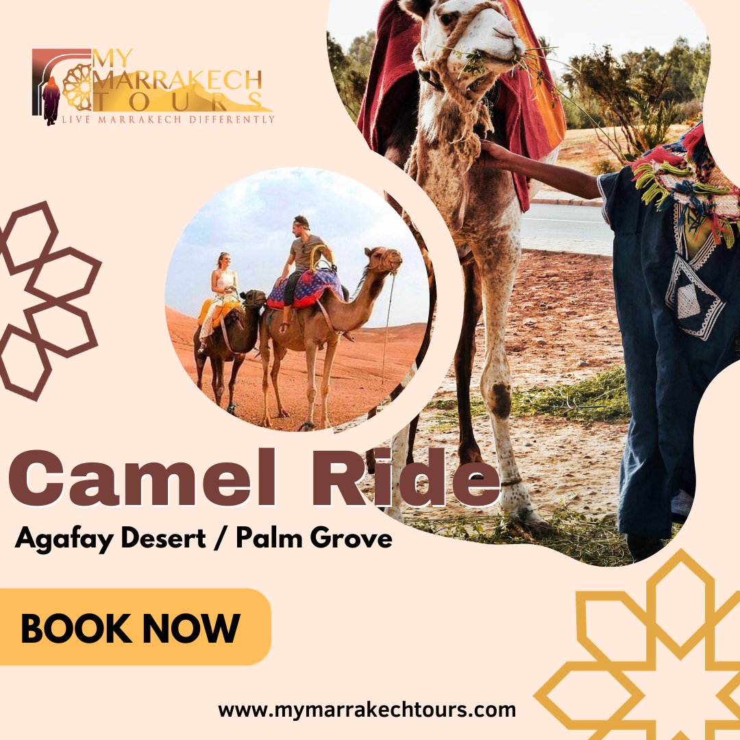 mymarrakechtour's tweet photo. A camel ride in the tranquil Agafay desert or the lush Palm groves. Adventure awaits in the heart of Morocco's natural beauty.

Check offers : https://t.co/y5Ws9voPKB

Get in Touch:
+212 600 448 448
info@mymarrakechtours.com

#Marrakech #adventuretime #Travel #Travelphotography https://t.co/uEunM9Vhgz