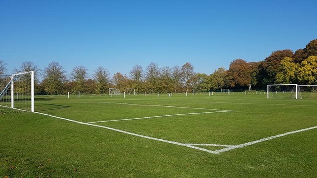 Grassline tweet media