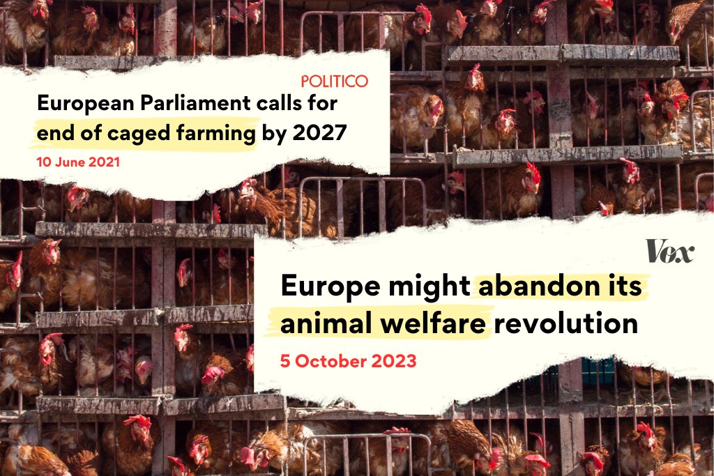 In 2020, 1.4 million EU citizens demanded improvements to animal welfare standards.

82% of MEPs agreed &amp; the EU Commission promised reforms.

3 years later, the reforms have mysteriously disappeared from the European Commission's agenda for 2024

What happened?