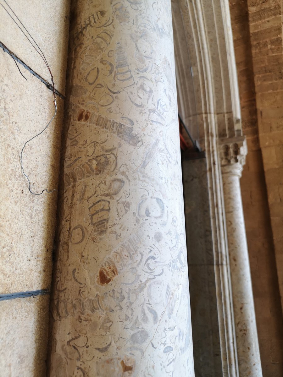 Unbelievable fossil marble columns at Saint Elias Maronite Church (a.k.a. Aquarium) 📍Beirut, Lebanon @pavementgeology @ANGISerkan #urbangeology #fossil