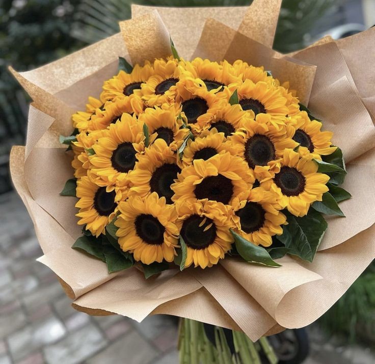 sunflowerchives's tweet photo. sunflowers are the best https://t.co/25GlbPb8b4