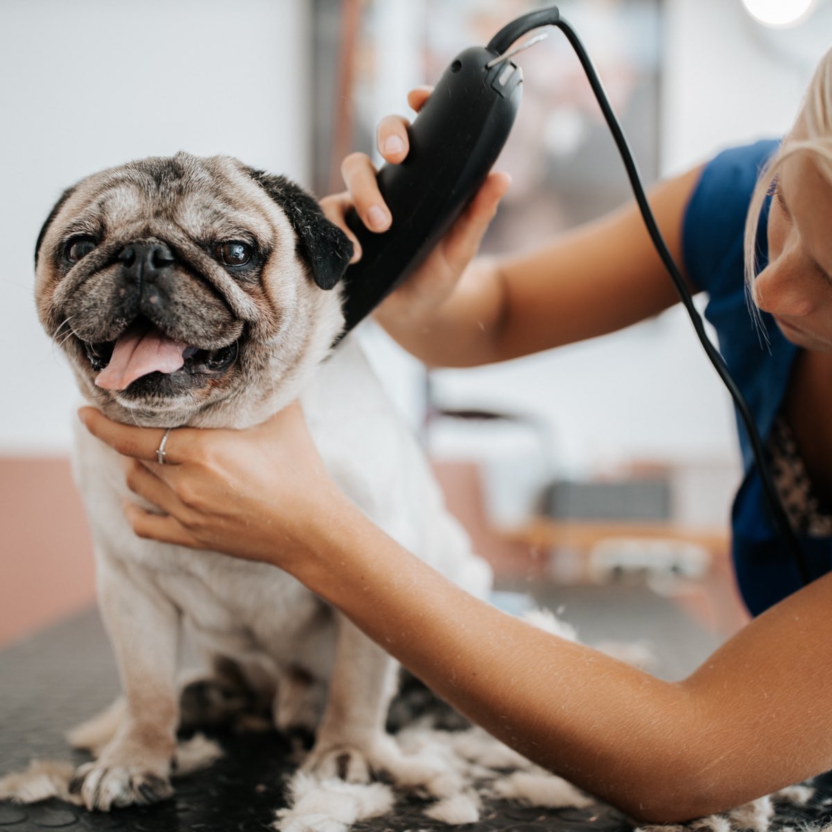 Keep your furry friend looking&amp;feeling their best with regular grooming!Brush their coat to promote a healthy shine,prevent matting&amp;stimulate circulation.Don't forget to clean their ears and eyes,brush their teeth&amp;trim their nails for overall hygiene #DogGrooming #PetHygiene #Pet