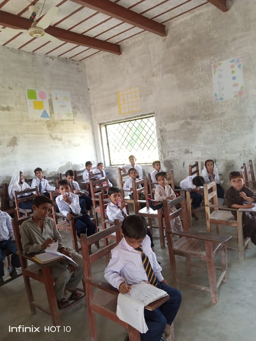 محمد علي tweet media