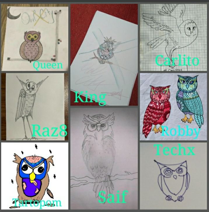 RaresGorbe's tweet image. This is only one of the contest challenge u will find inside the @OwlCitizensX tg channel #DrawChallenge Join and get the chance to explore #MVX biggest projects, learn about it and even win some #NFTs &amp;amp; #ESDT tokens! 
#OwlsNeverSleep 🌙🦉