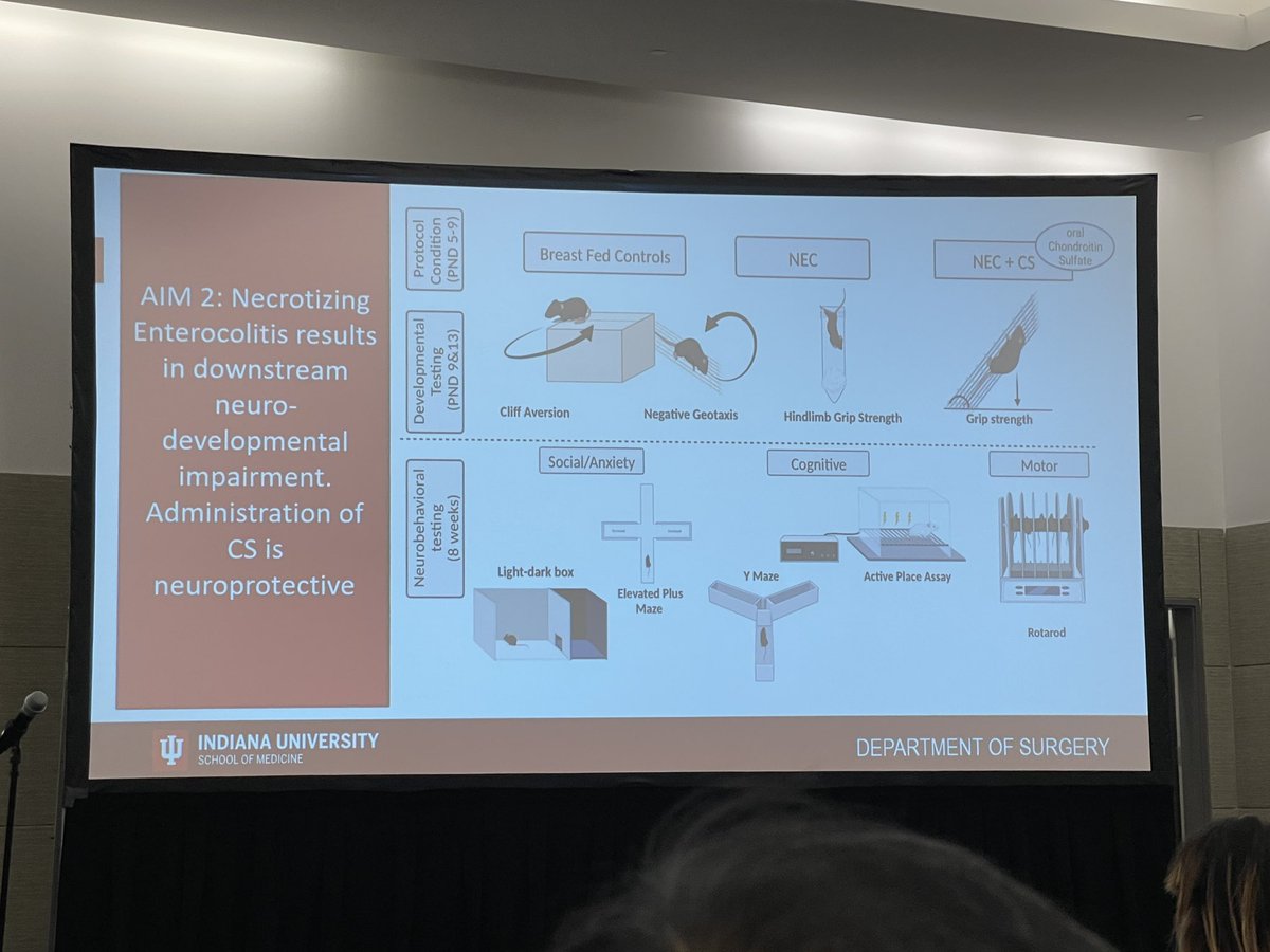 Congrats to @IU_Surgery resident @DocKmano for a fantastic presentation during the #ACSCC23 Surgical Forum on the protective effects of chondroitin sulfate in NEC. @IU_PedSurg