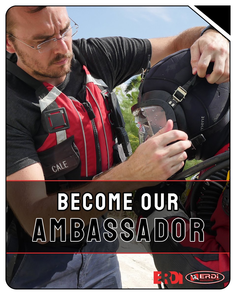 SDI Divers tweet media