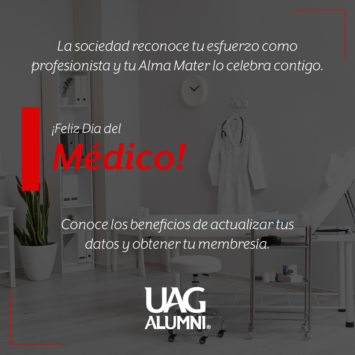 ¡Feliz Día del Médico! 👩‍⚕️👨‍⚕️🦉