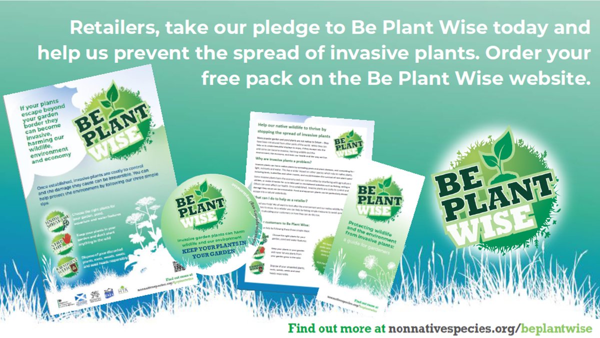 Are you a plant retailer? Order your free #BePlantWise kit today to help you #StopTheSpread of #InvasiveSpecies and educate your customers on how they can do this too. Visit nonnativespecies.org/beplantwise