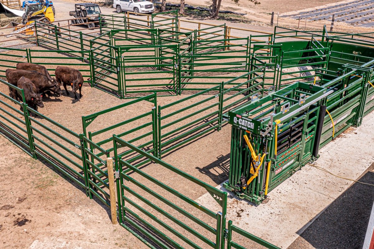 Arrowquip's tweet photo. Ready to upgrade your cattle handling system so it's more efficient and low-stress? Here's what you should look for when designing your own system: https://t.co/JjUZSGCCSE
#blog #arrowquip #americancattleman #cattlesystem #customsystem #cattlecorralsystem #eatbeef #stayinformed https://t.co/CD8I9KMRva