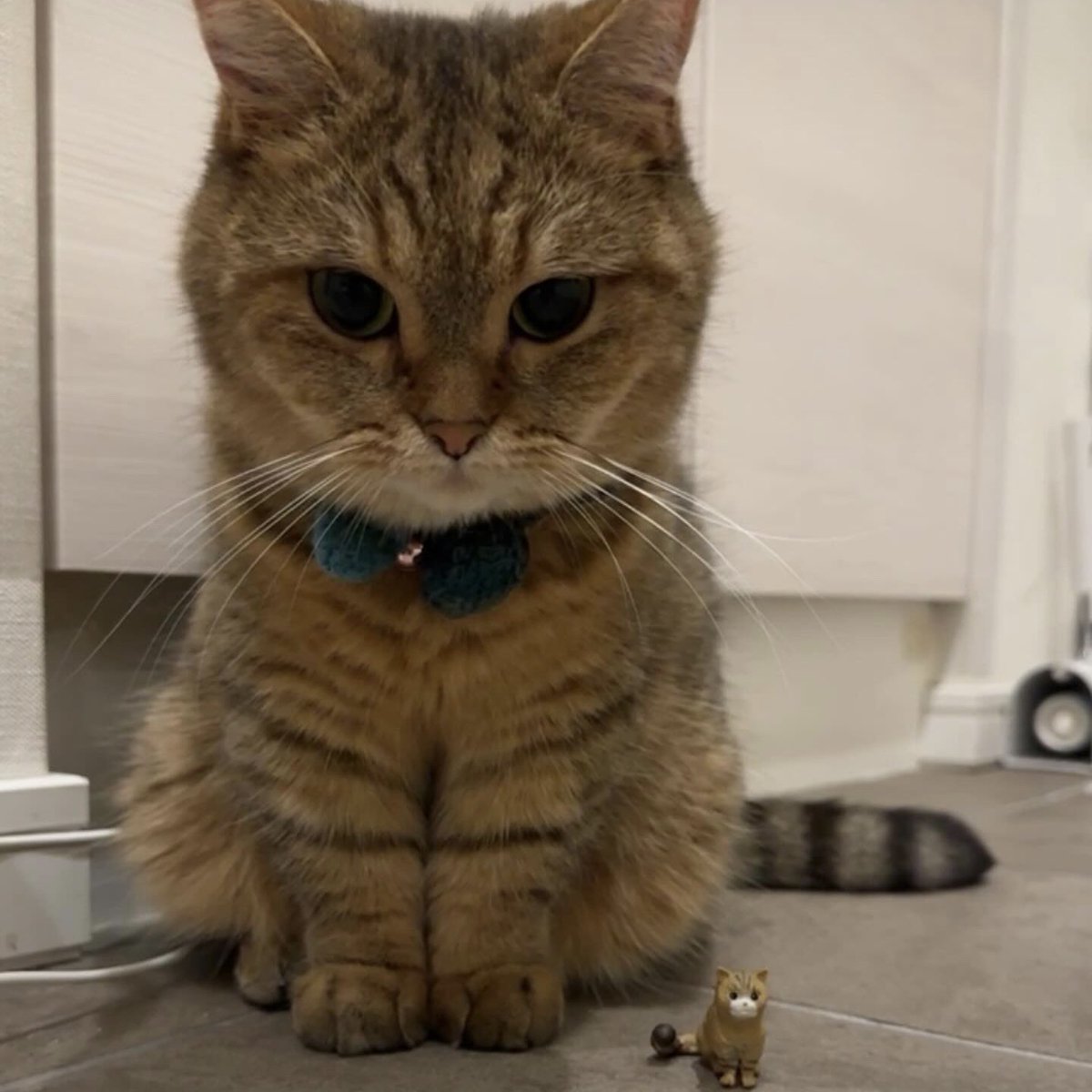 早速ガチャしてくれた方もいて嬉しい、、☺️
ワイも無事はっけん！！！
まさかの給食係しら×2！！！