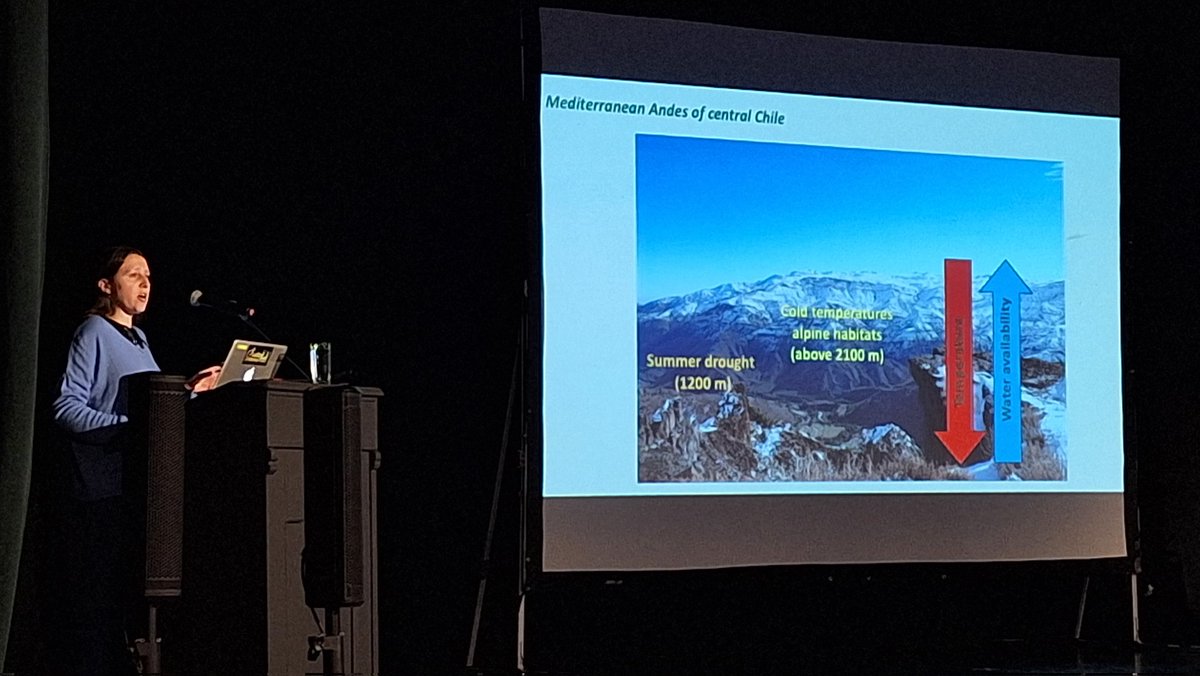 <a href="/MIREN_mountains/">MIREN</a> present at #emapi2023