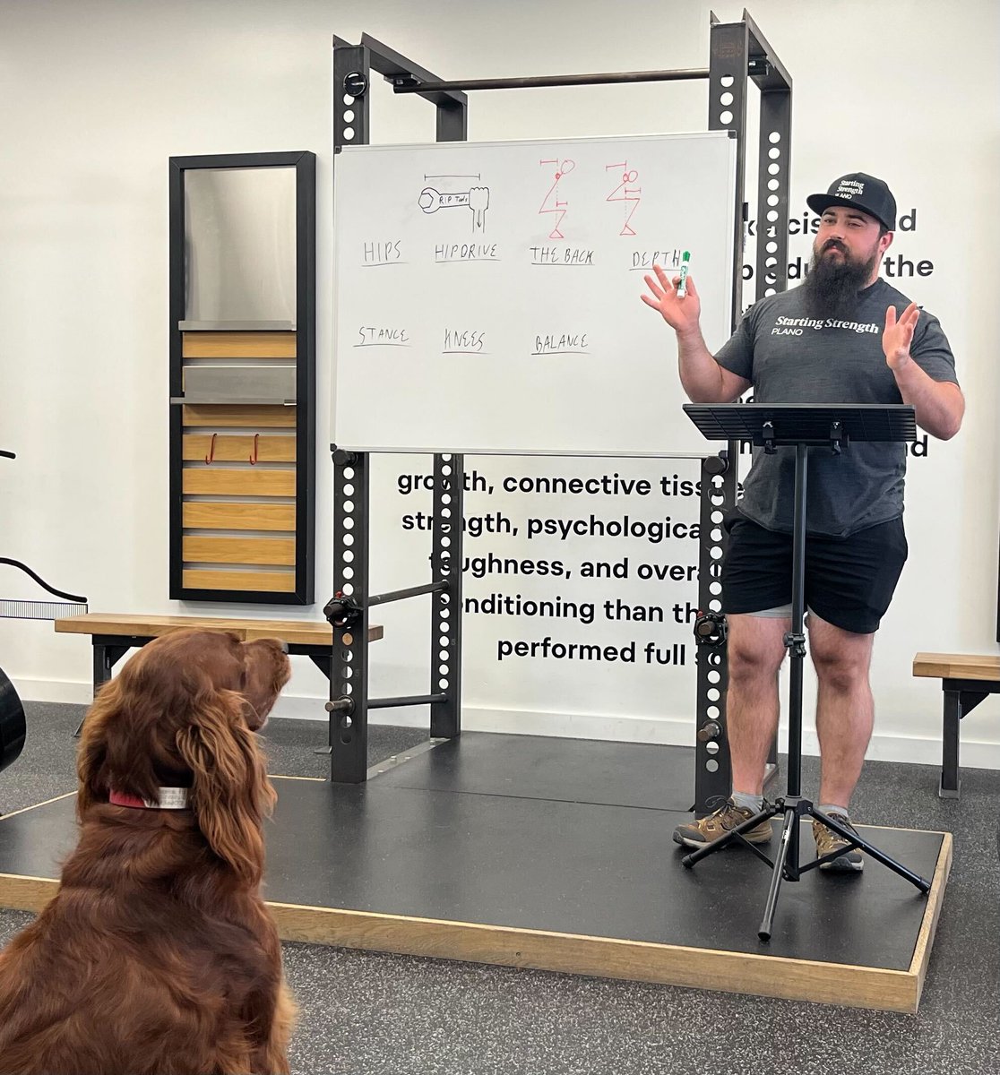 As coaches we are Always honing our understanding of the model. Here's Coach Morgan giving a break down of the Squat Model to our very attentive assistant Coach Copper! 
#squat #planogym #startingstrength #startingstrengthgyms #themodel #startingstrengthmodel #gymsplano #hipdrive