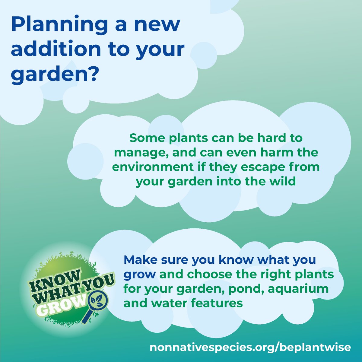 Planning next year’s planting? #BePlantWise to protect the environment! Make sure the plants you buy are: · right for your garden or aquarium · not invasive · easy to dispose of Download a free guide to over 160 plants to use in place of #invasive plants: nonnativespecies.org/beplantwise