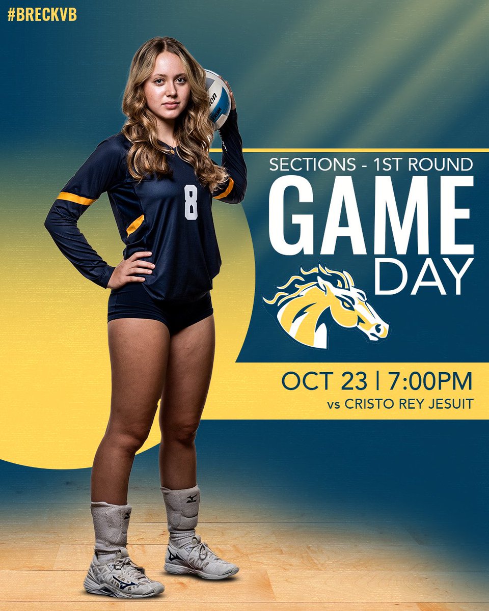 BreckAthletics's tweet photo. Good luck to #BreckVB tonight against Cristo Rey in the first round of Sections! https://t.co/iVtM96dYc6