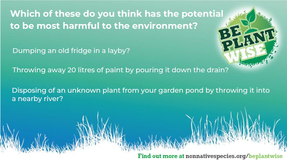 Which of these do you think could be most harmful to the environment? #BePlantWise nonnativespecies.org/beplantwise