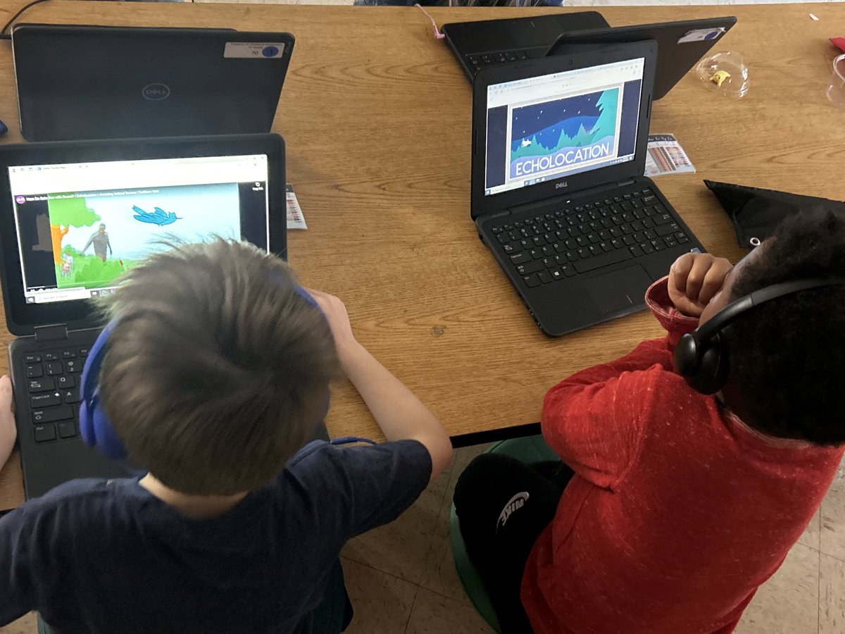 Ask us what we’ve learning about bats! 🦇 

We’re using a variety of sources to research some super cool creatures!