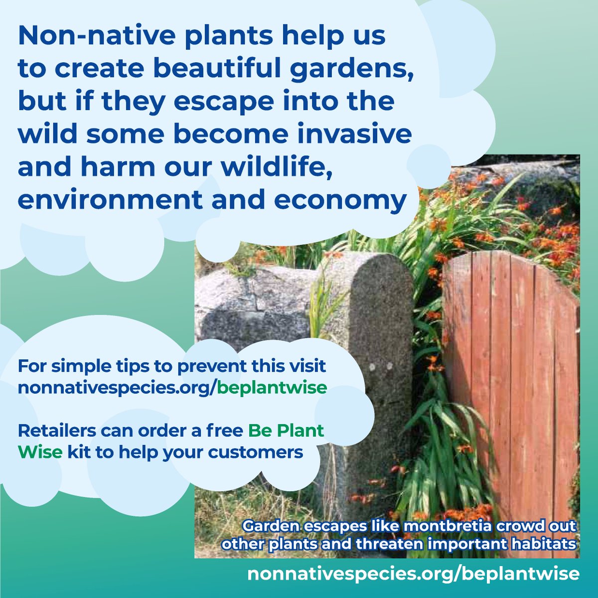 #InvasivePlants like montbretia can: - cause devastating environmental impacts🌍 - be extremely costly to control 💰 - interfere with our health and way of life ❌ #BePlantWise and dispose of your garden waste responsibly to prevent their spread nonnativespecies.org/beplantwise